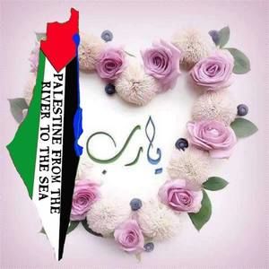 Meet your Posher, Ahlam